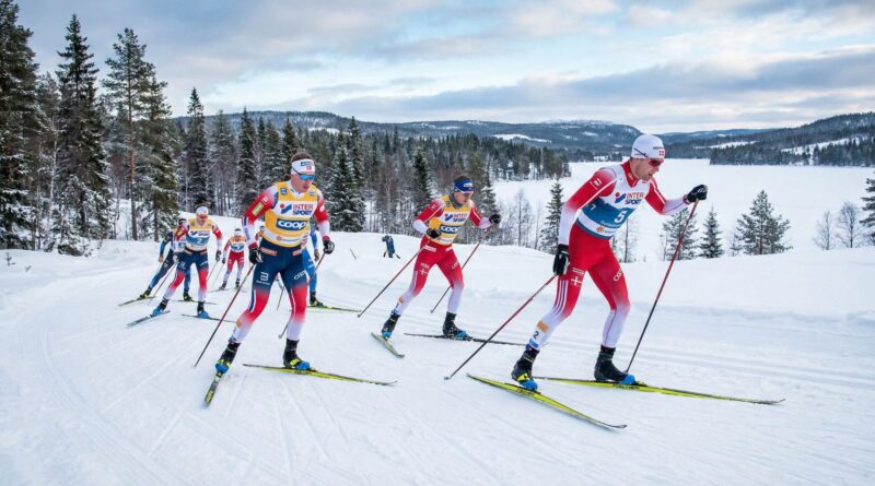 Skandináv dominancia a sífutásban